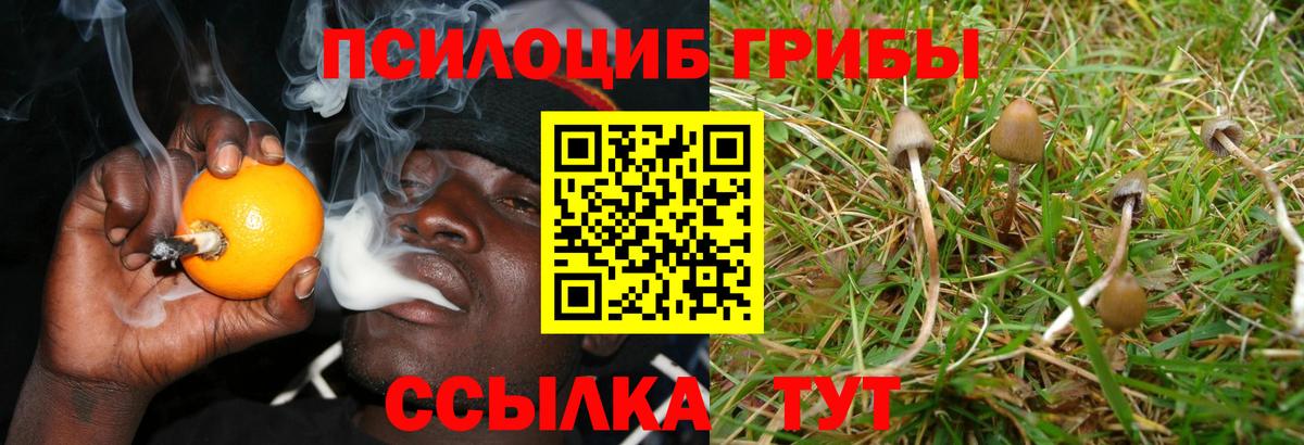 Галлюциногенные грибы Magic Shrooms Полевской
